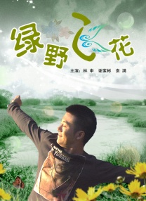 屏幕在线